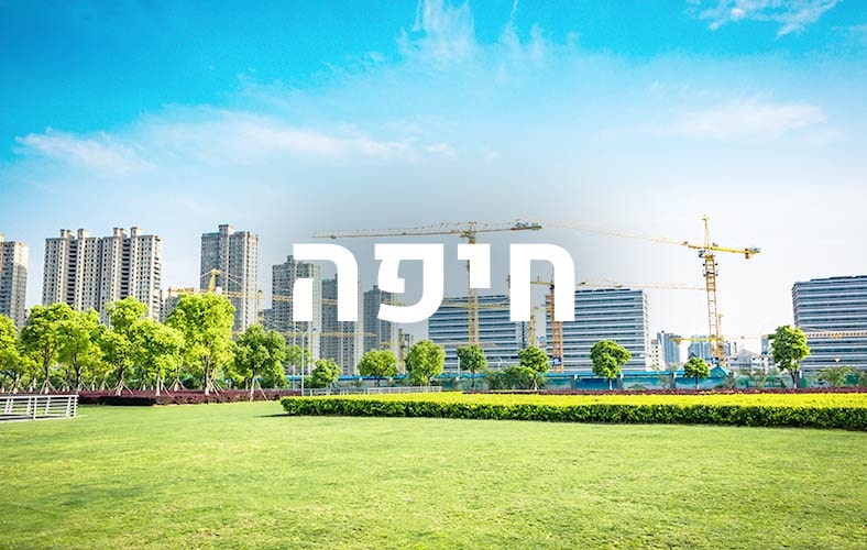 אופציות המדיה בחיפה